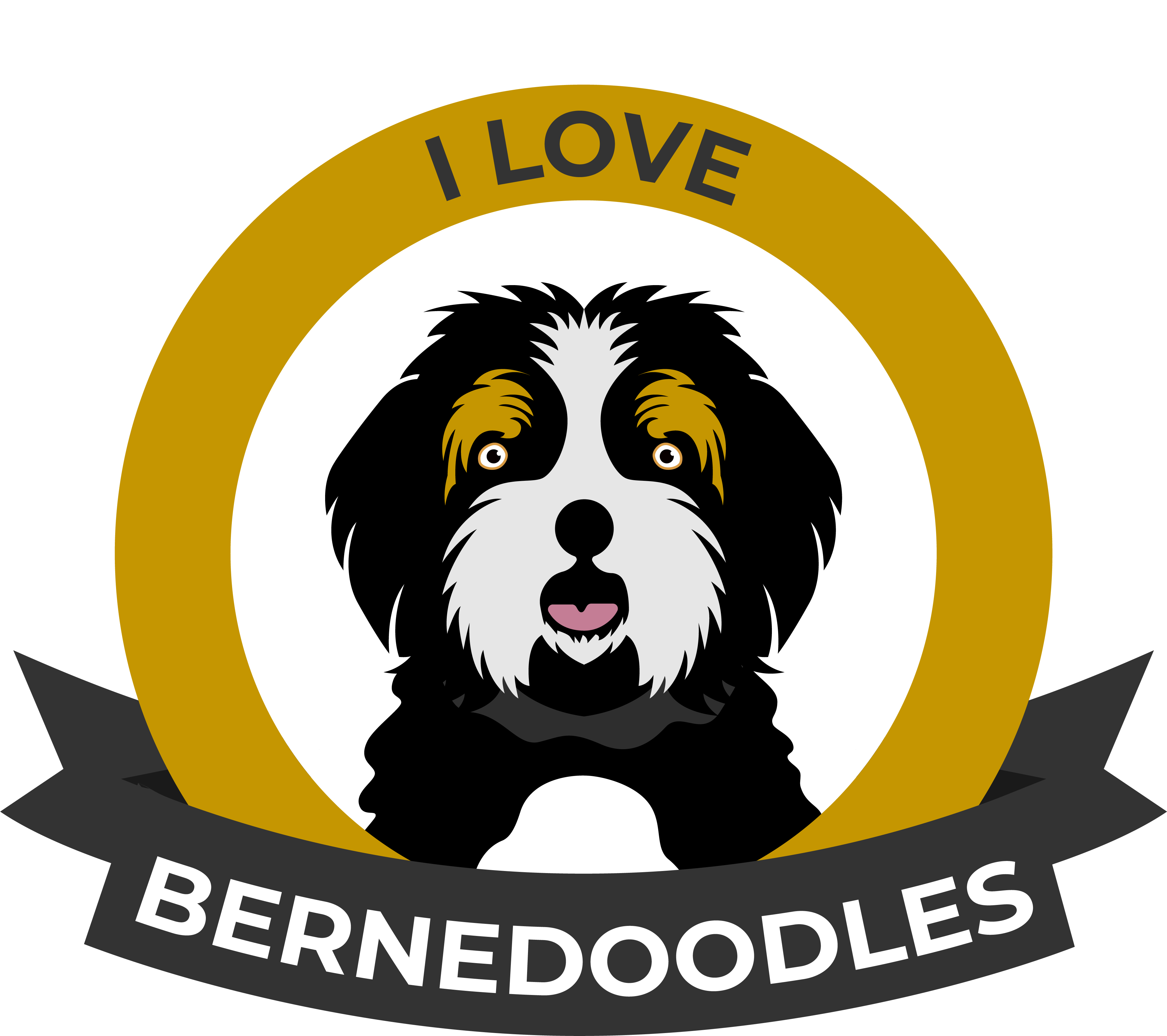 I Love Bernedoodles